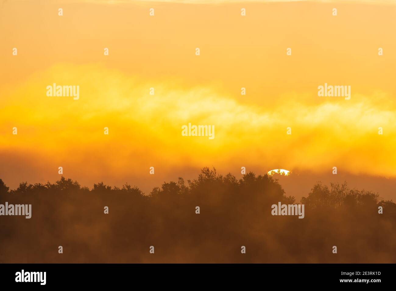 Sun rising above forest line Stock Photo