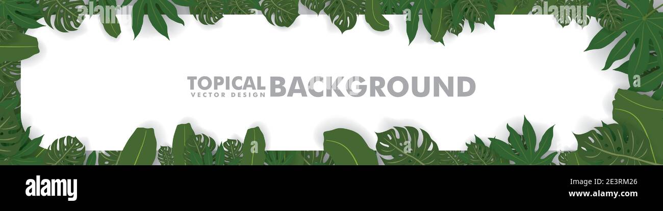 Frame made of fresh green tropical leaves on white background. Space ...