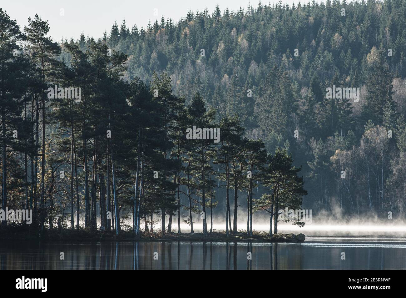 Headland with trees at still lake Stock Photo