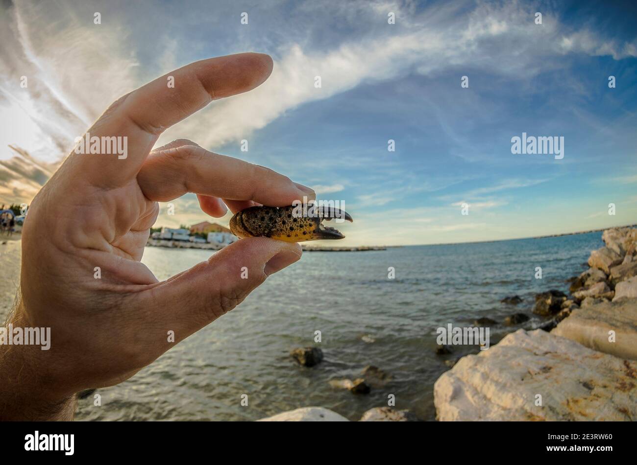Claw hand hires stock photography and images Alamy