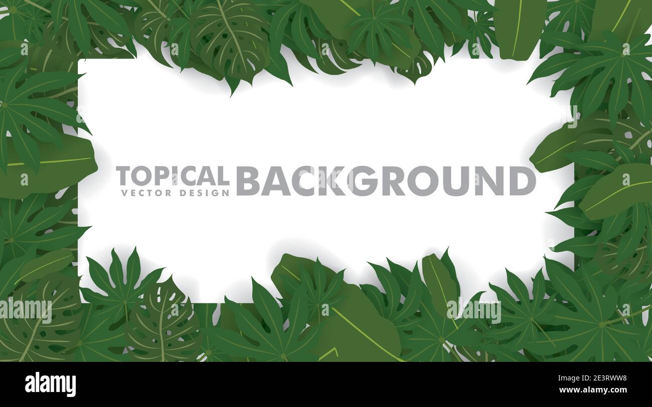 Frame made of fresh green tropical leaves on white background. Space ...