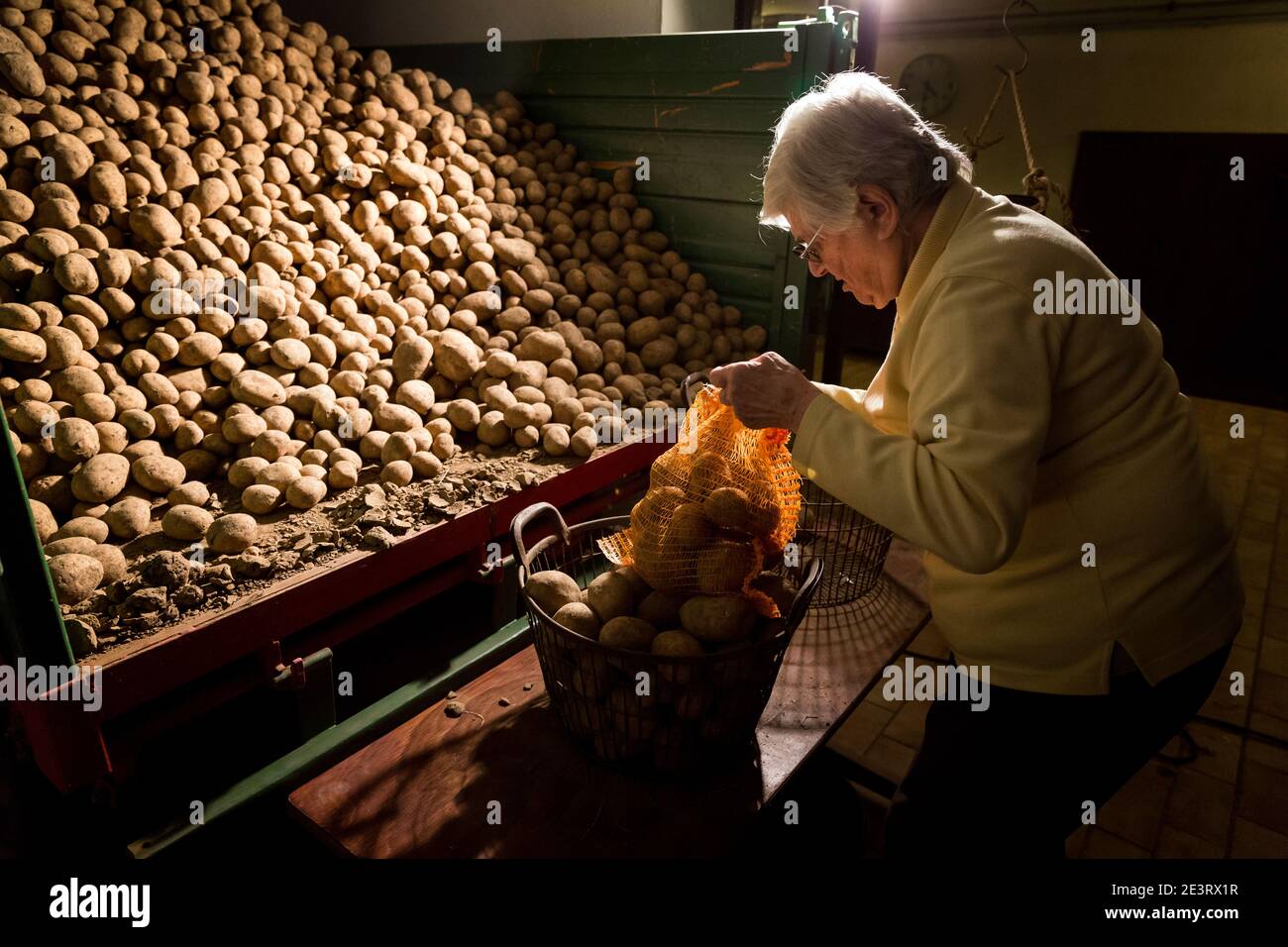 Karl Heinz Degen 70, here with Agnes Seibert packing potatoes in the barn, lives in the senior home on the Eiffelhof farm in Marienrachdorf in Rheinland-Pfalz Germany, where the seniors can also come into contact with the animals or even work on the farm themselves. Stock Photo