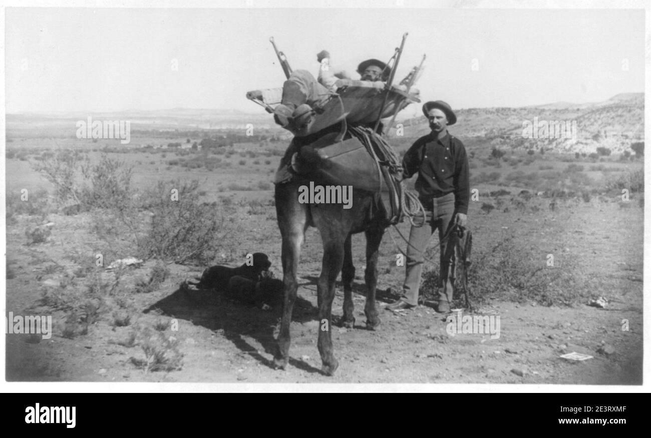 Dr verde Black and White Stock Photos & Images Alamy