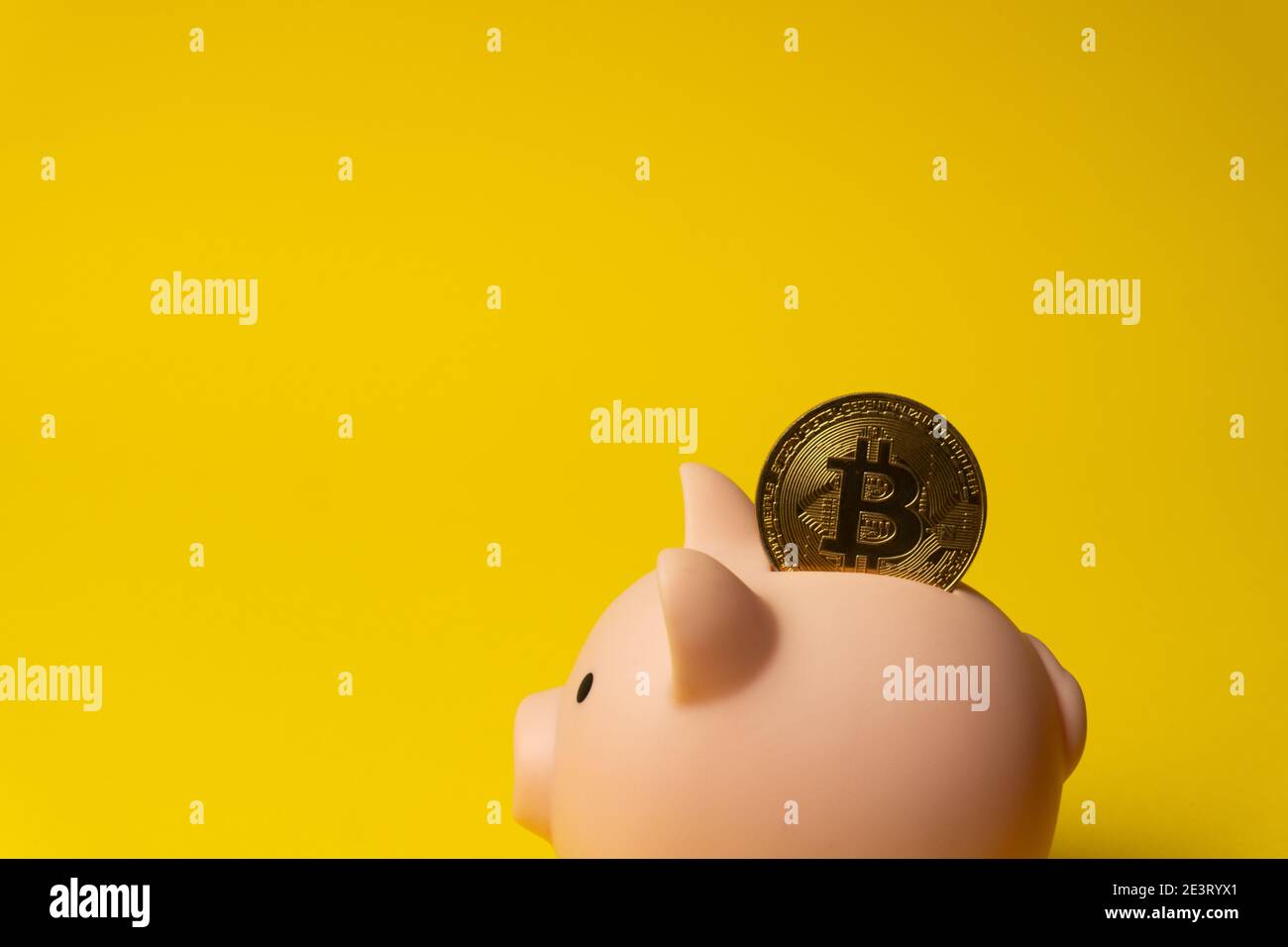 Bitcoin gold crypto coin inside piggy money box Stock Photo
