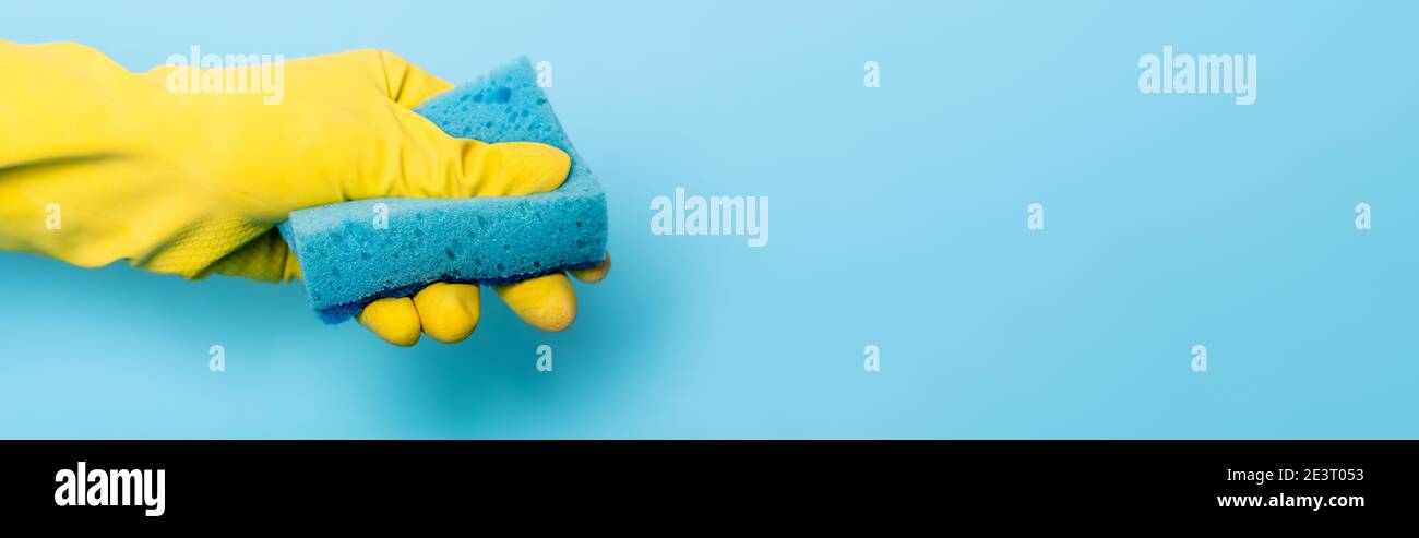 Cropped view of hand in yellow rubber glove holding sponge on blue ...