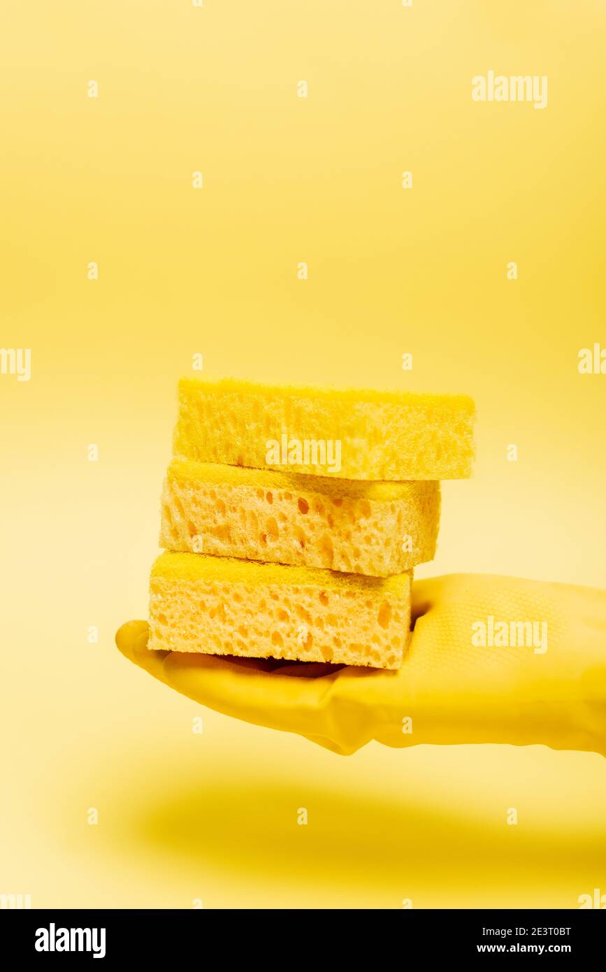 Cropped view of hand in rubber glove holding sponges on yellow ...