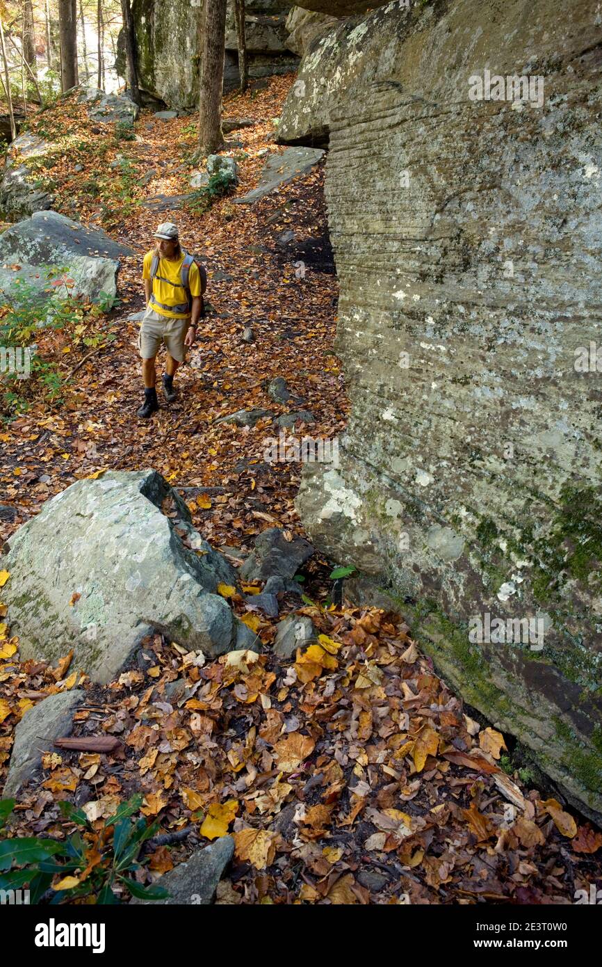 NC00301-00...NORTH CAROLINA - Hiker on the Linville Gorge Trail #231 in the Linville Gorge Wilderness - Pisgah National Forest. Stock Photo