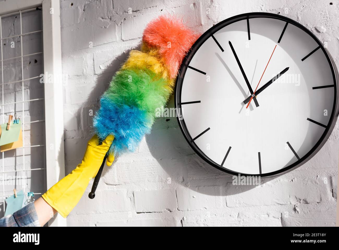 Cropped view of woman cleaning clock with dust brush Stock Photo