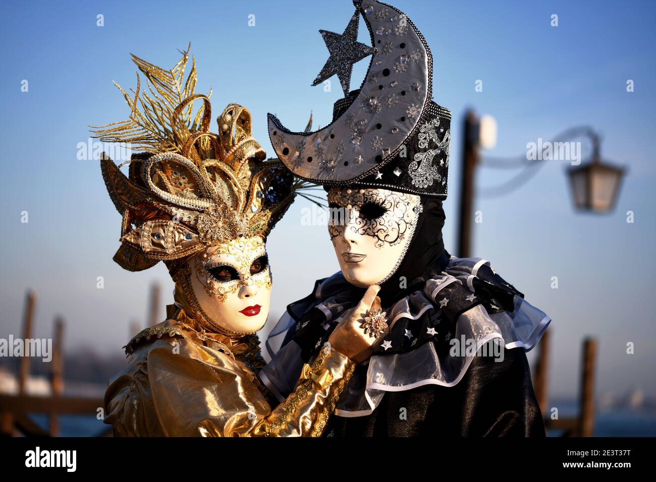 Moretta muta hires stock photography and images Alamy