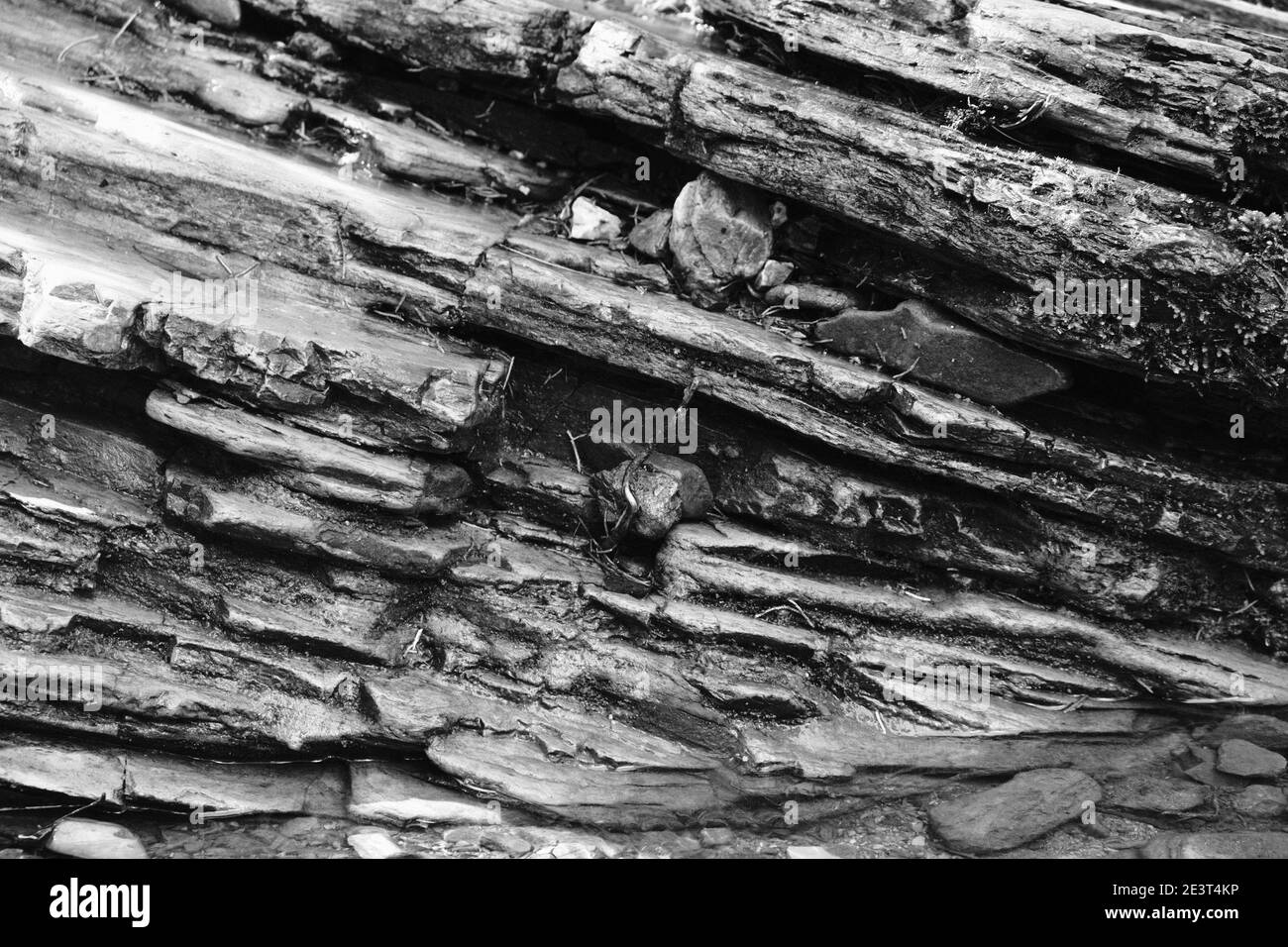 close-up of shale rock running diagonal in black and white Stock Photo