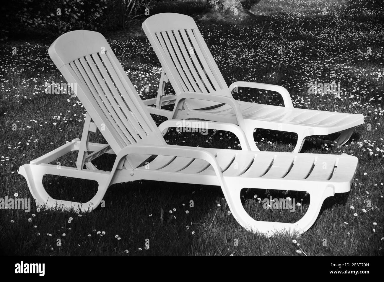 Couple deck chairs Black and White Stock Photos & Images - Alamy