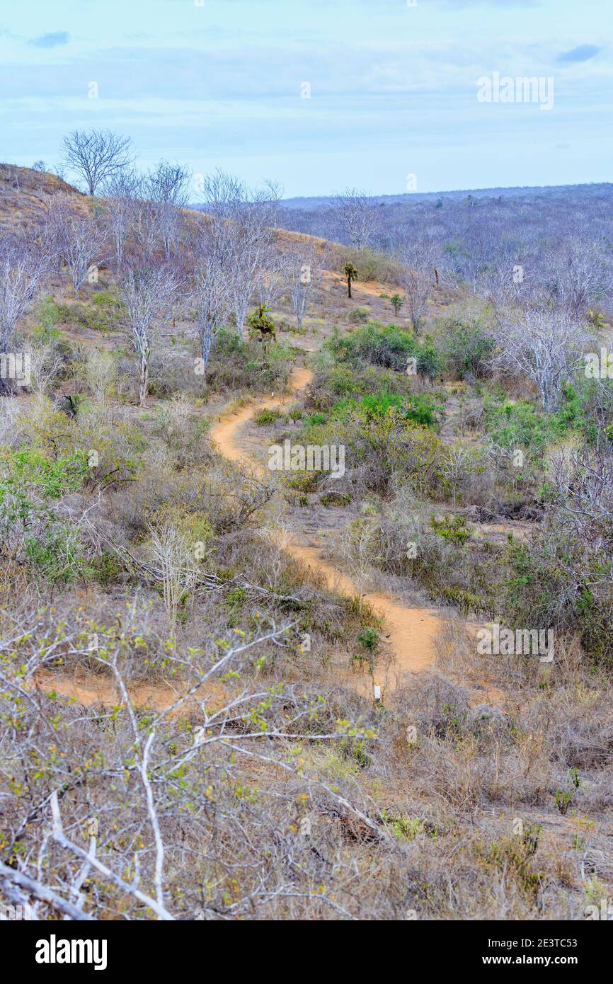 View of typical dry, arid landscape with leafless trees and scrubland