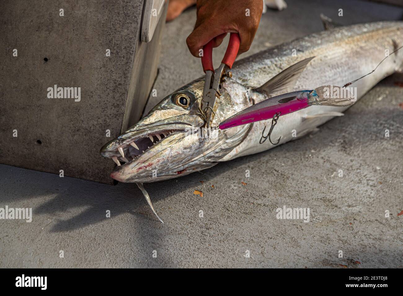 Deep sea fishing. Trolling in Papua New Guinea Stock Photo