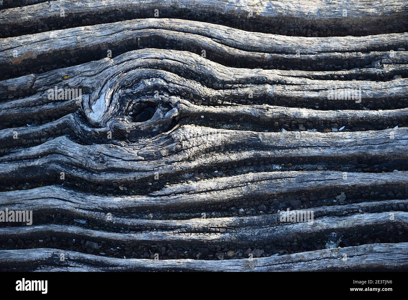 Weathered tree bark with knot, grain patterns and grooves Stock Photo