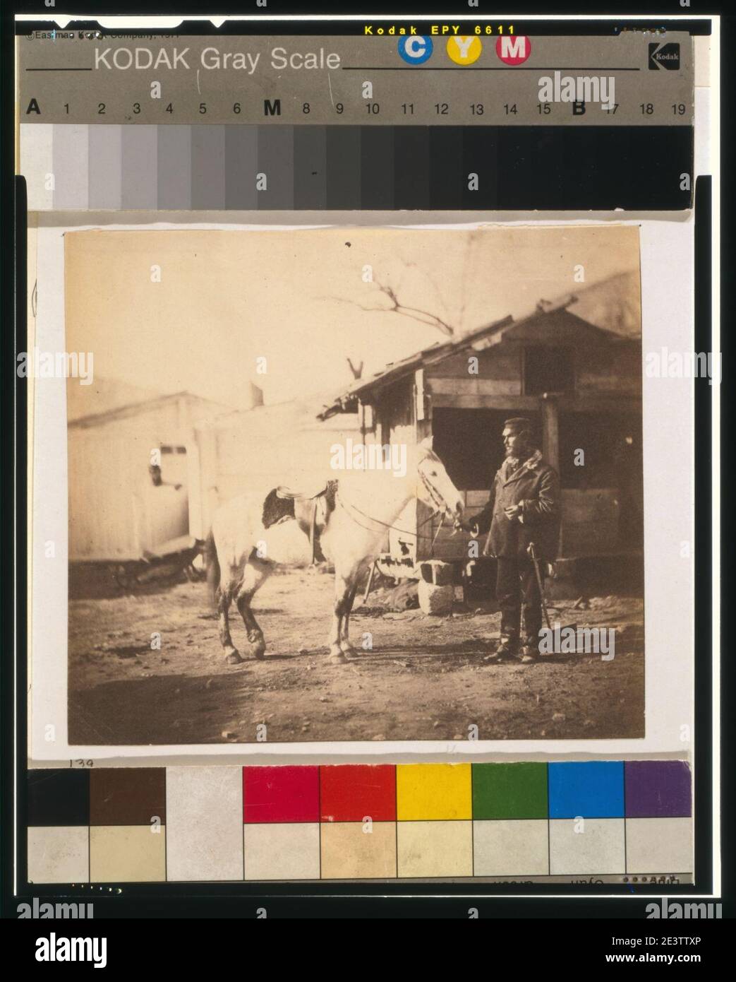 Major Chapman, 20th Regiment Stock Photo Alamy