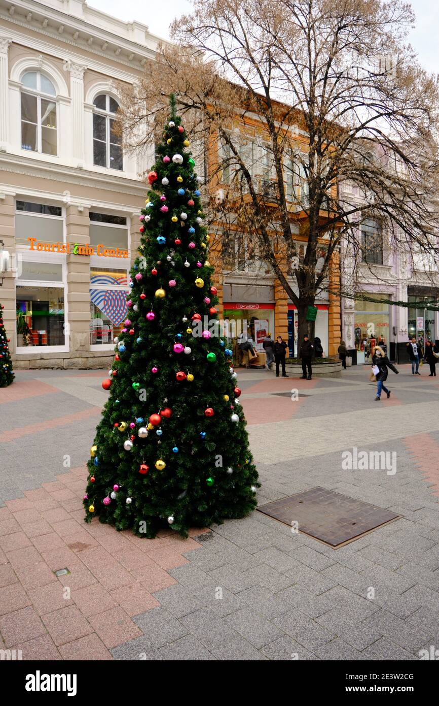 06.01.2021. Plovdiv. Bulgaria. Decorated pine tree for christmas in ...