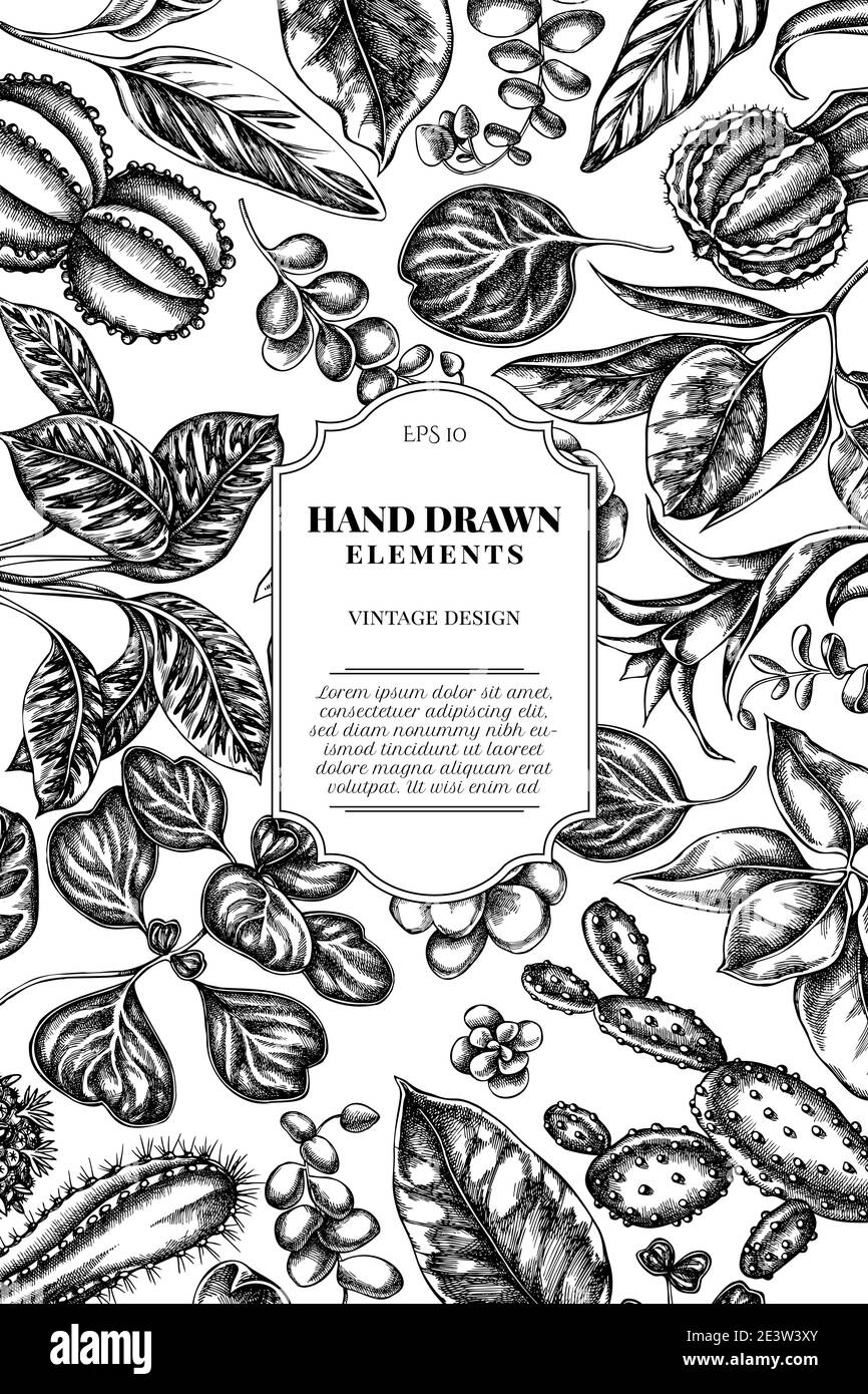 Card design with black and white ficus, iresine, kalanchoe, calathea, guzmania, cactus Stock Vector
