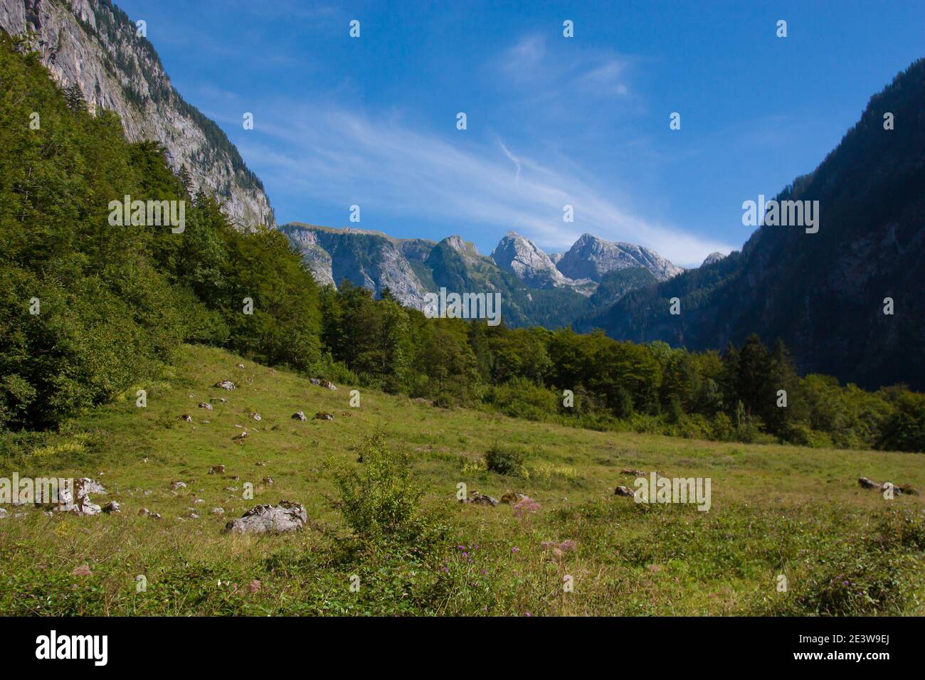 Nice view of the mittersee, alpine green meadows, beautiful landscape for your desktop Stock Photo