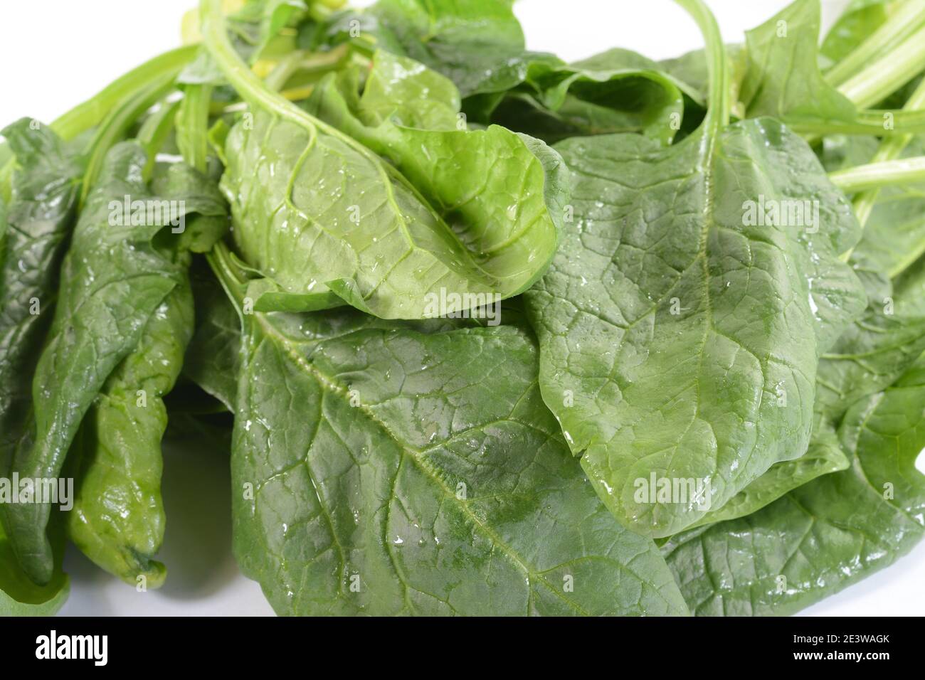 Fresh green spinach background. Green spinach leaves. Green food Stock ...