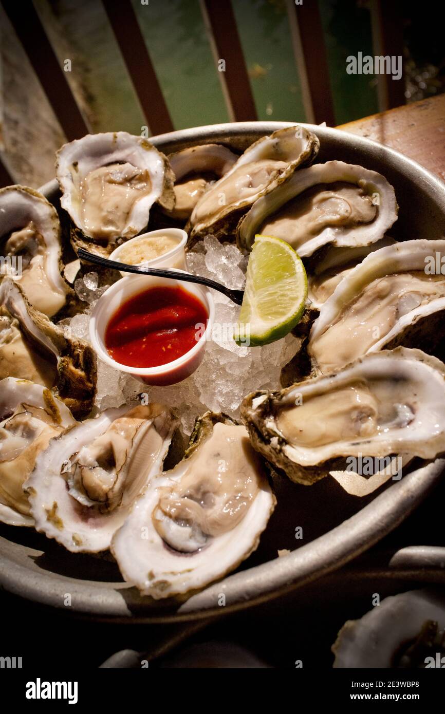 Half Shell Raw Bar, oysters on the half shell during Happy Hour in Key