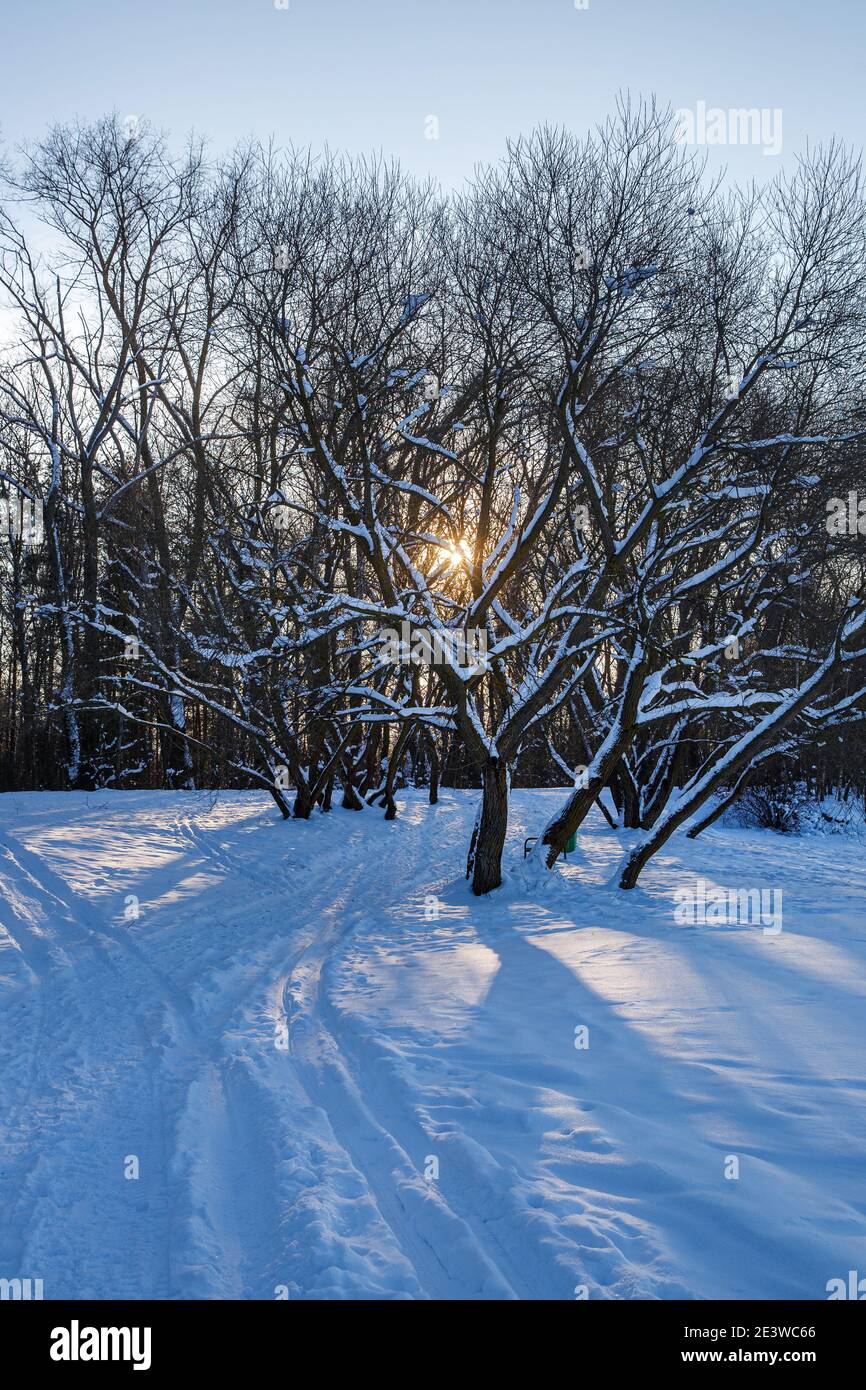Hdr woods trees sun sky hi-res stock photography and images - Alamy