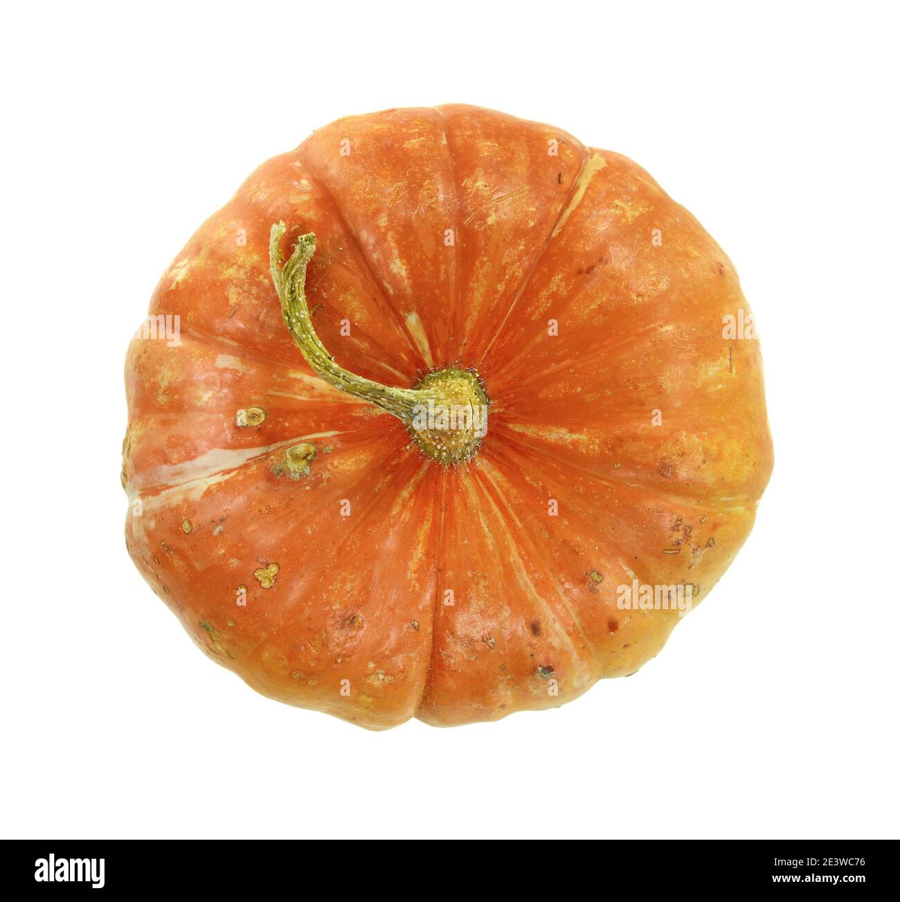 Pumpkin isolated on a white background Stock Photo - Alamy