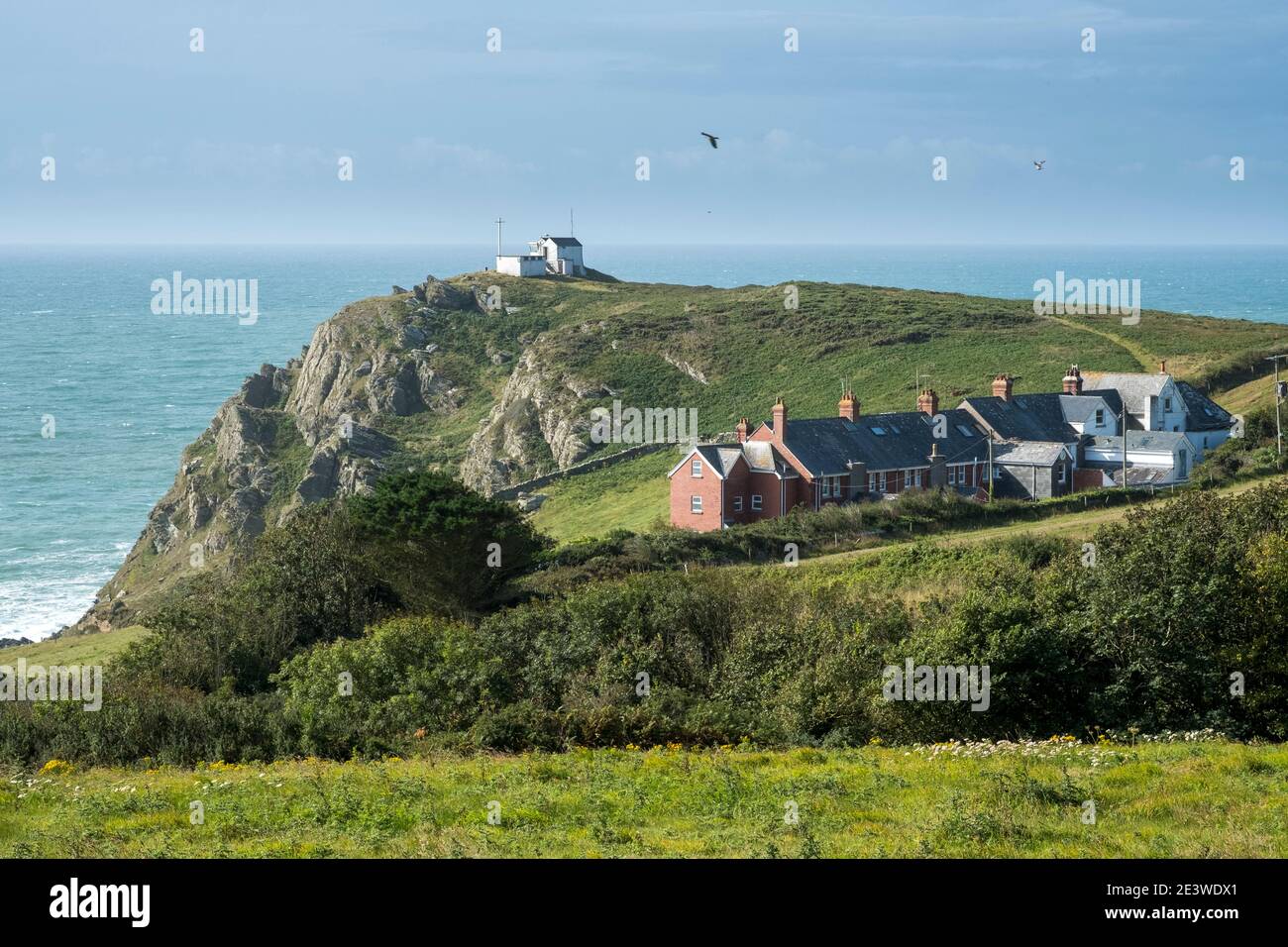 Coastguard Cottages at Prawle Point, East Prawle, Devon Stock Photo Alamy