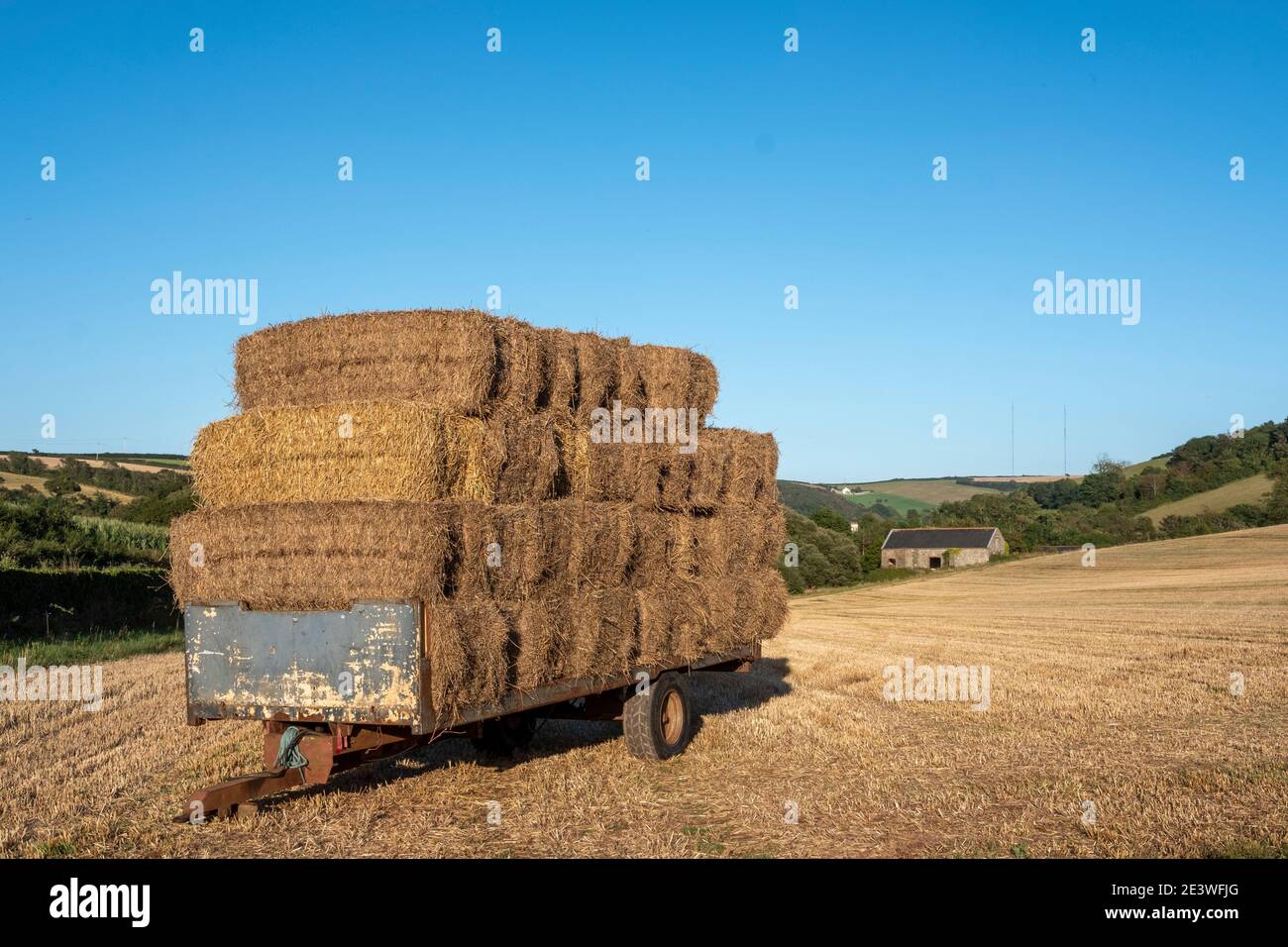 Hay bales stacked on trailer in farm field, south devon, harvest time