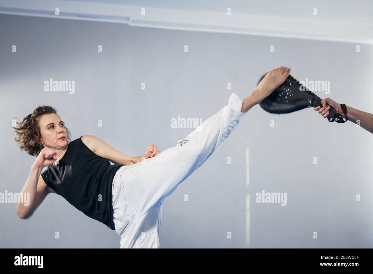 taekwondo kick trainer