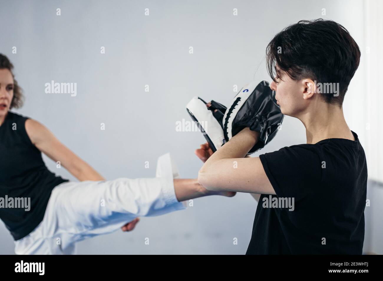 taekwondo kick trainer