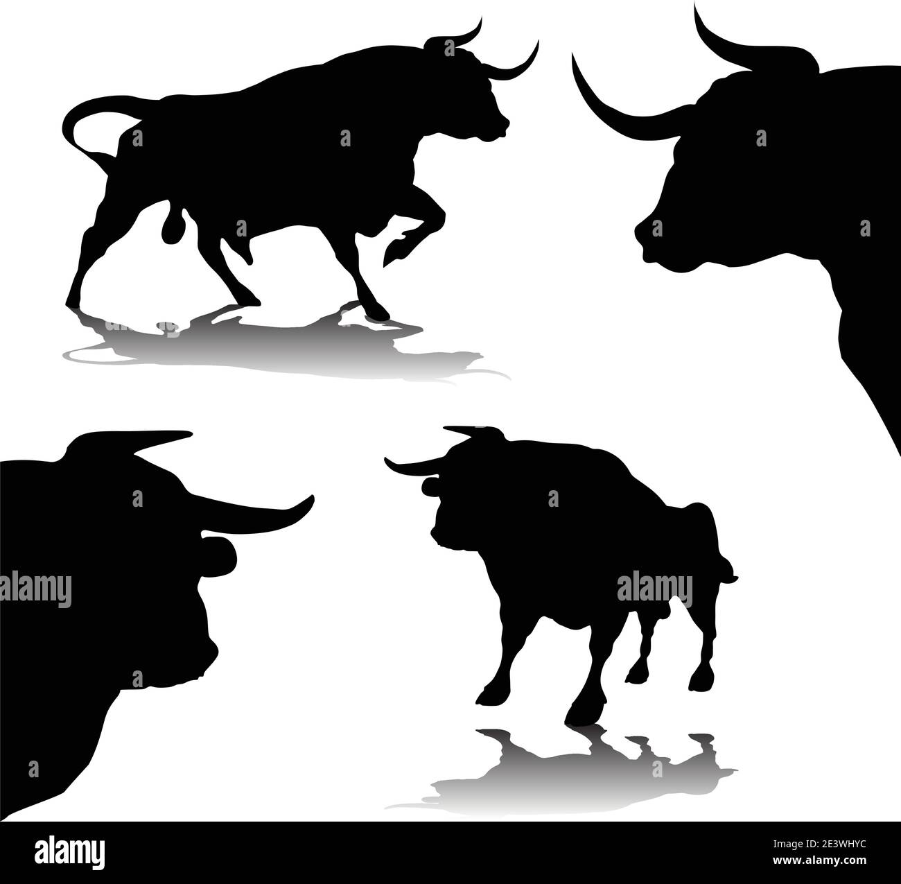 Bulls silhouettes isolated vector illustration Stock Vector