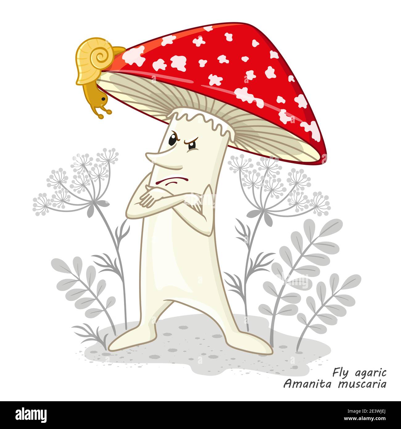 Vector Mushrooms isolated on white. Funny character design in a cartoon style. Poisonous mushroom flu agaric. Print for childrens clothes Stock Vector