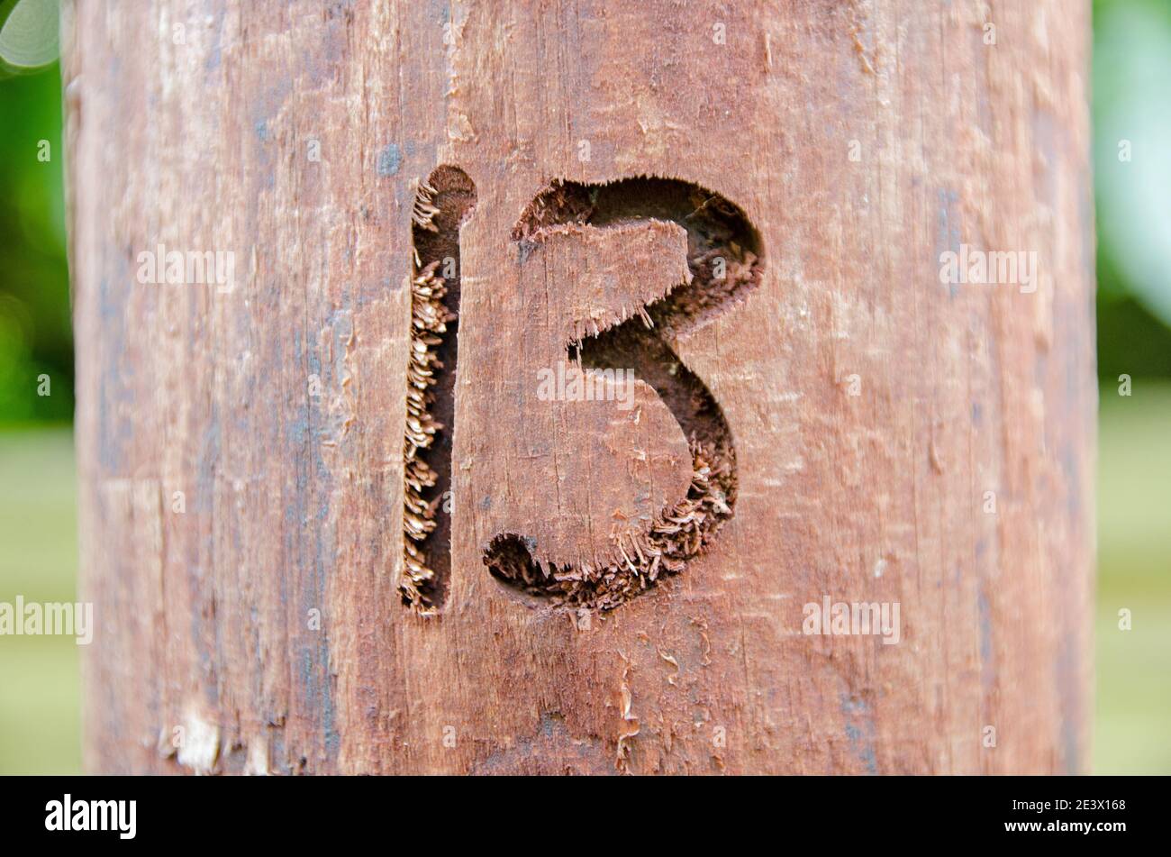 The number thirteen gouged into a wooden telegraph pole using a router. Stock Photo