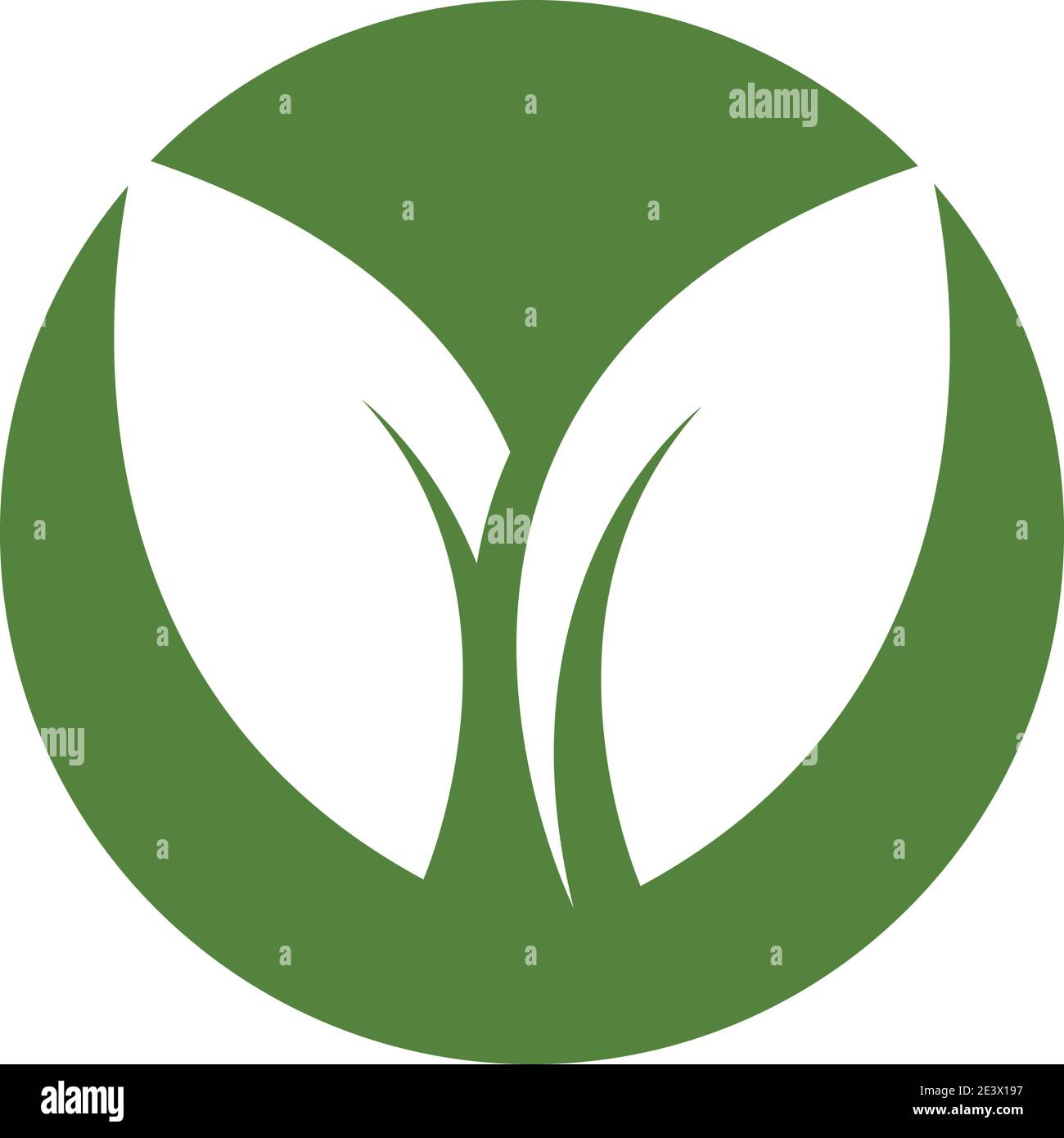 green leaf logo vector Stock Vector