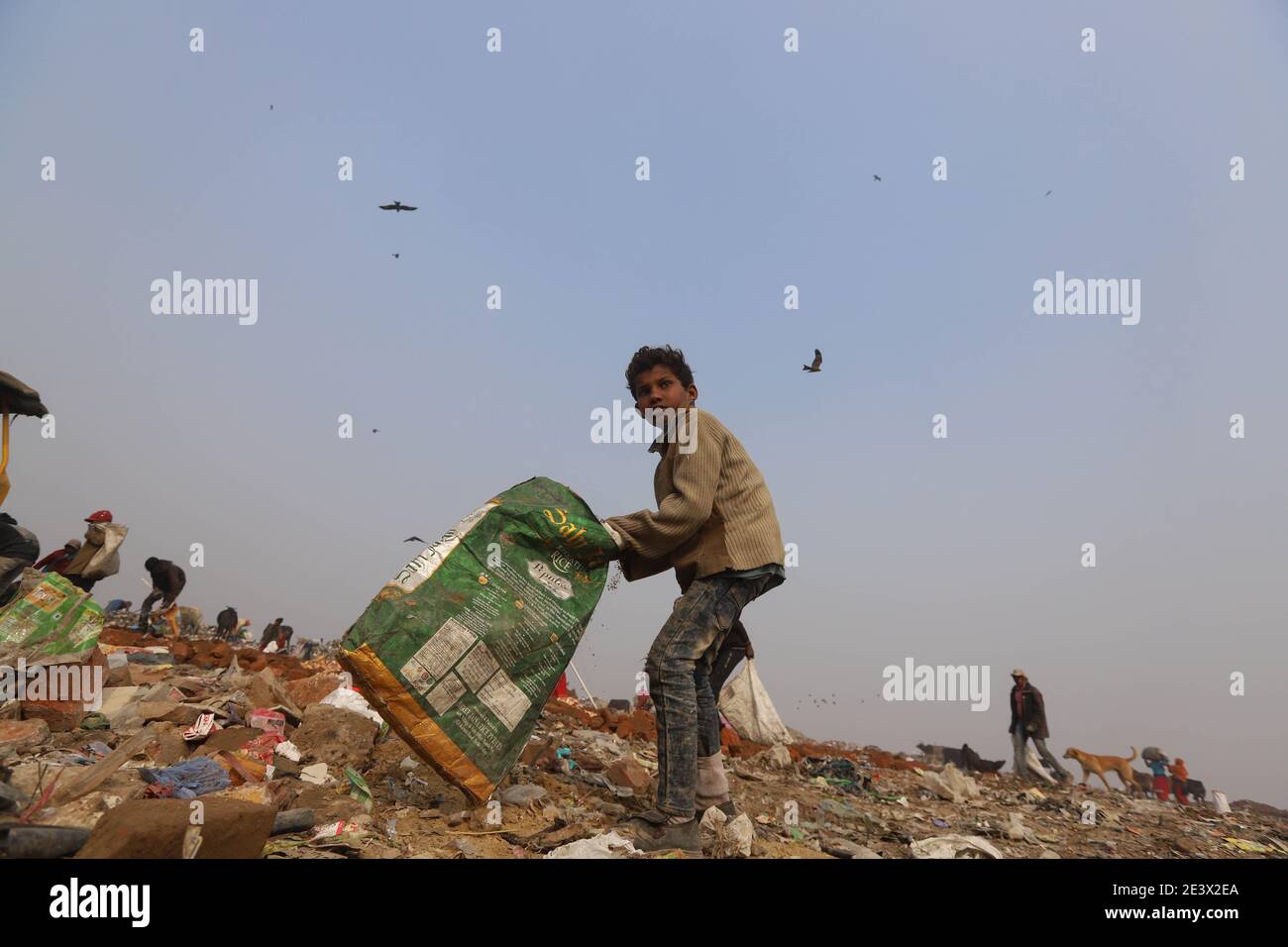 The Rag Picker High Resolution Stock Photography and Images Alamy