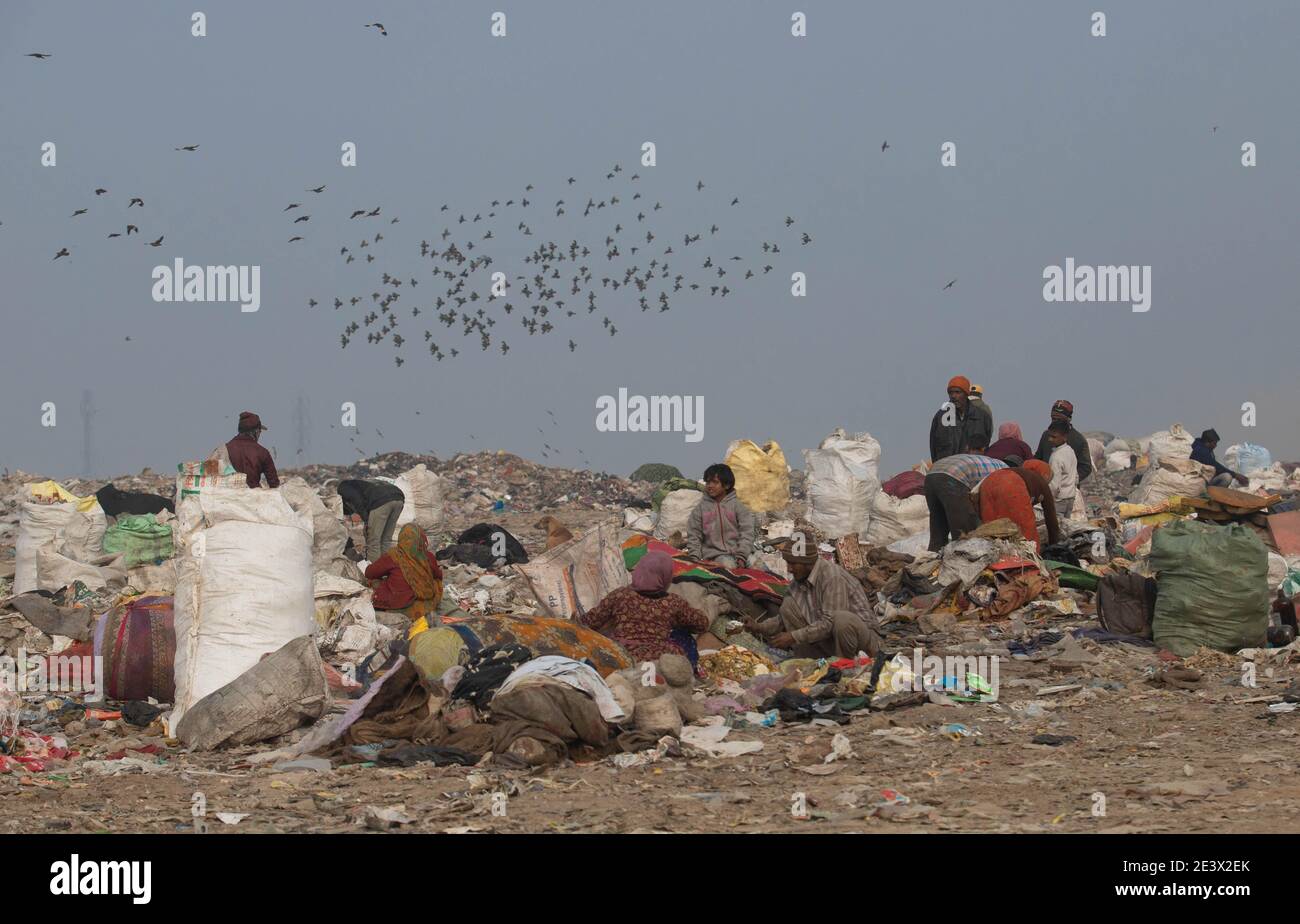 Neu Delhi, India. 18th Jan, 2021. Rag pickers search for recyclables in