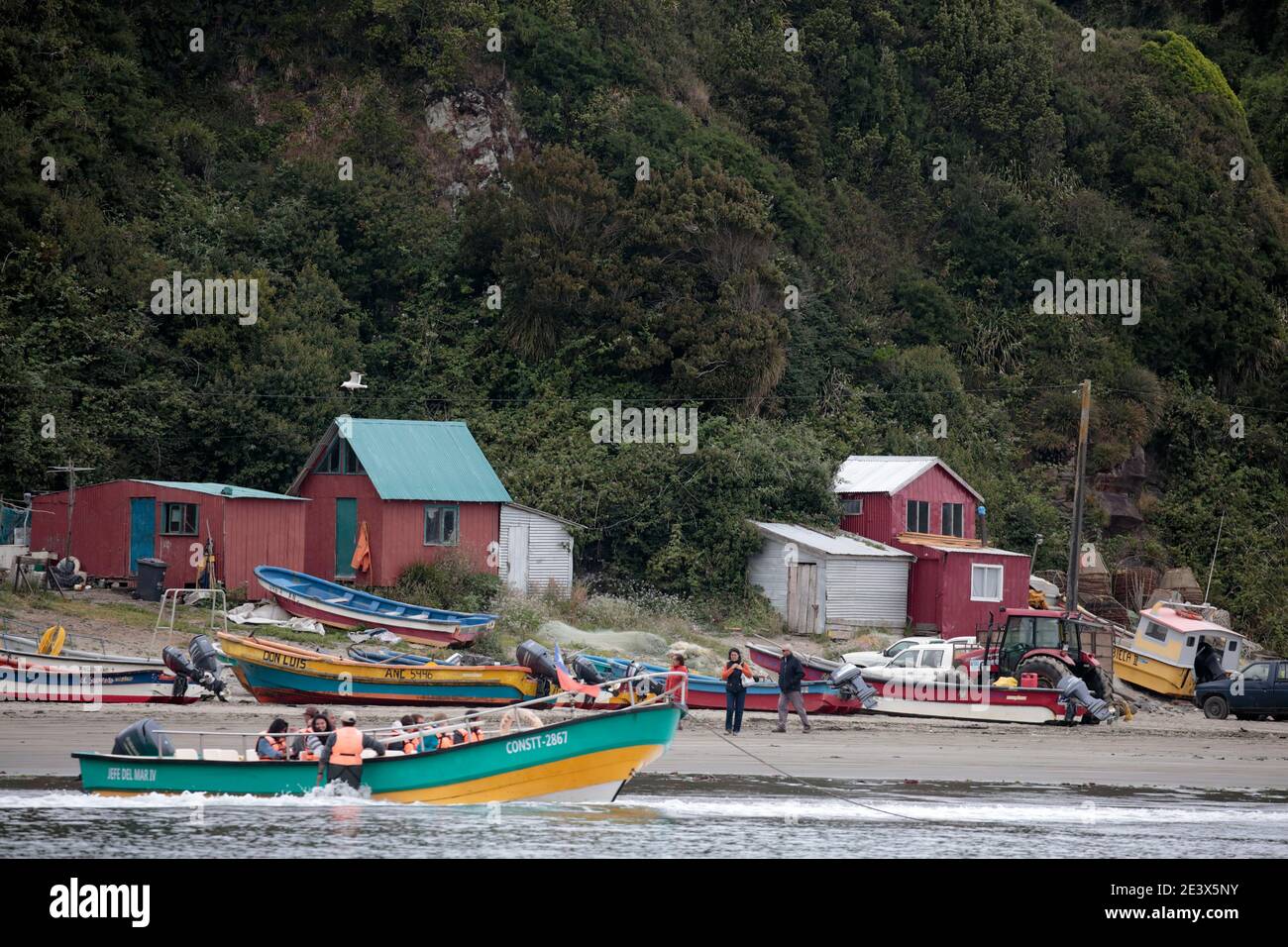 Beach and tourist boats, penguin colony at Bahia Punihuil, Chiloe Island, Los Lagos Region, south Chile 11th Jan 2016 Stock Photo