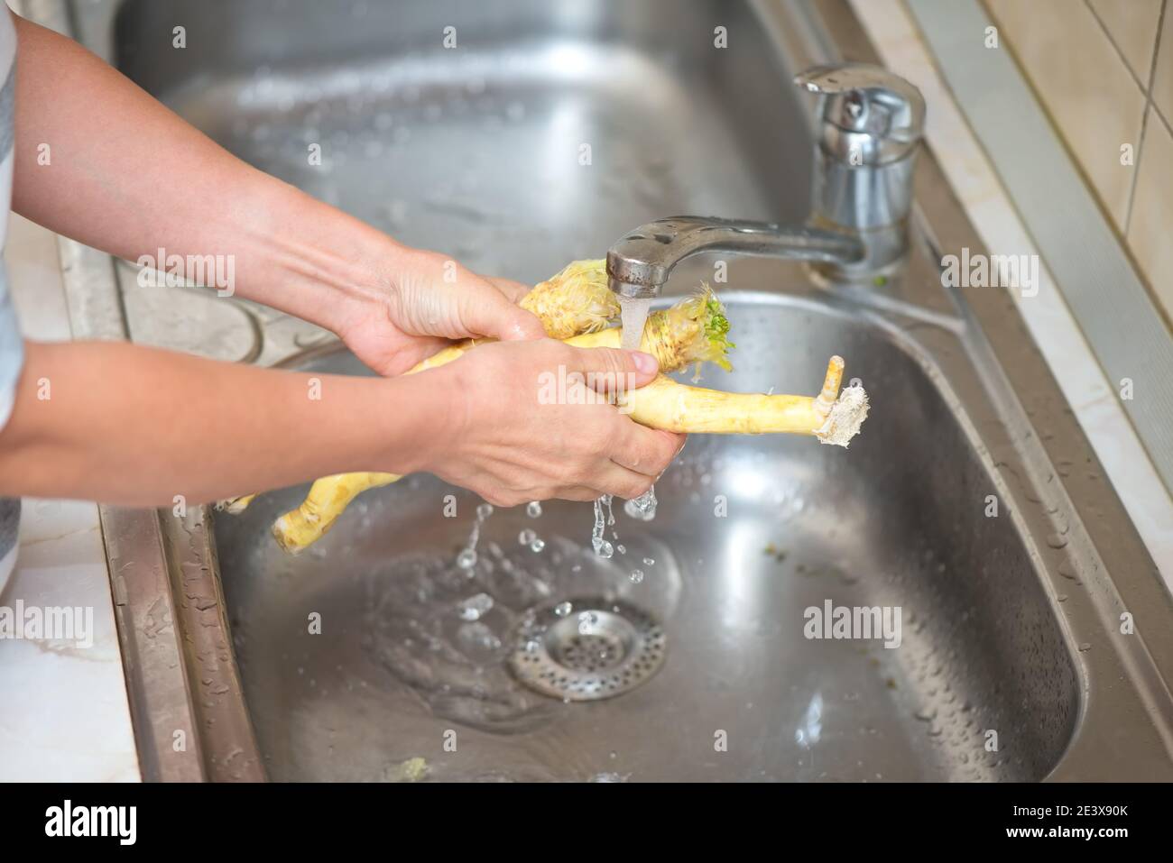 Hands of a woman washing horseradish Stock Photo