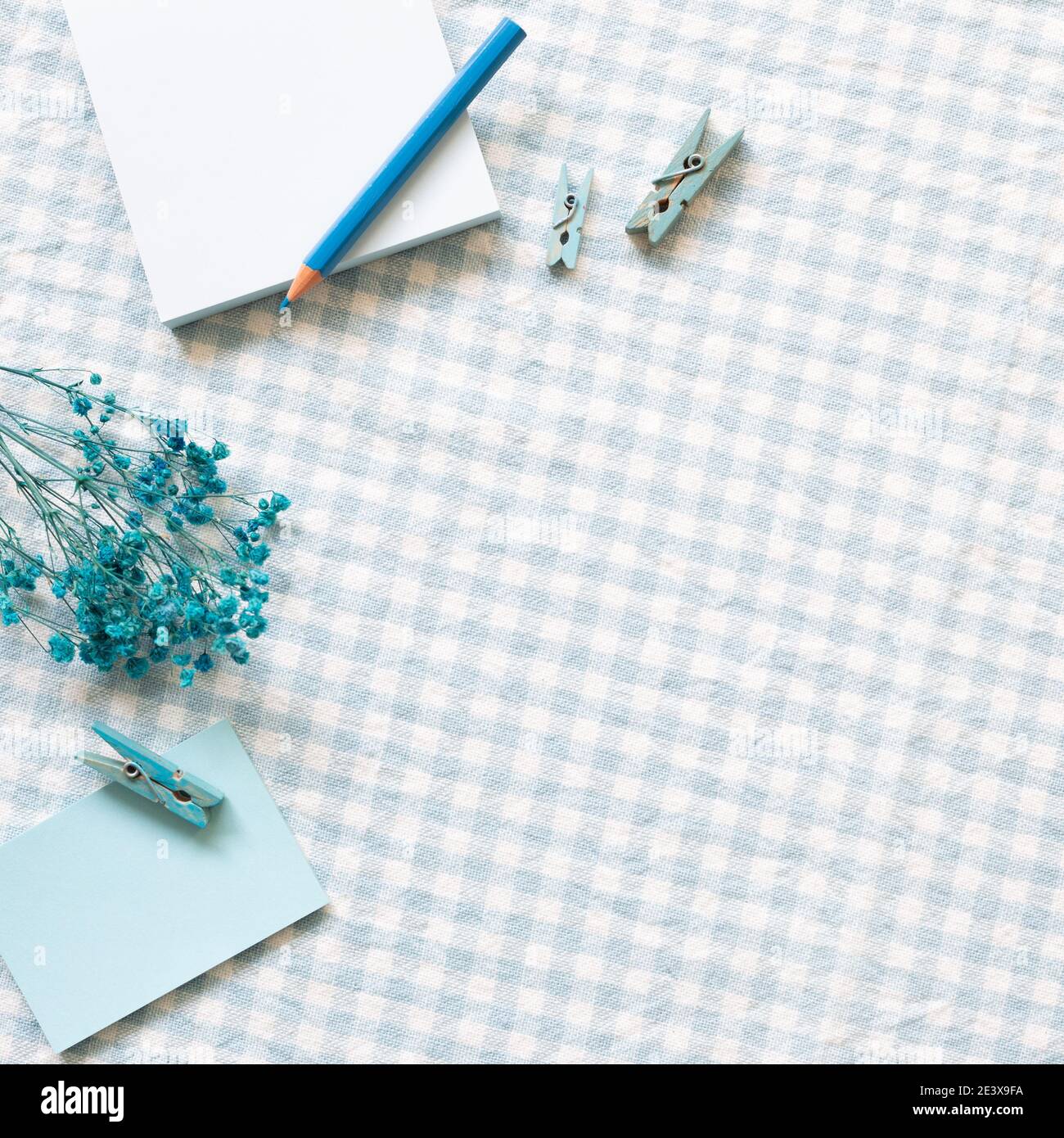 Work and study place. Notepad, colored pencil, clip on blue check ...
