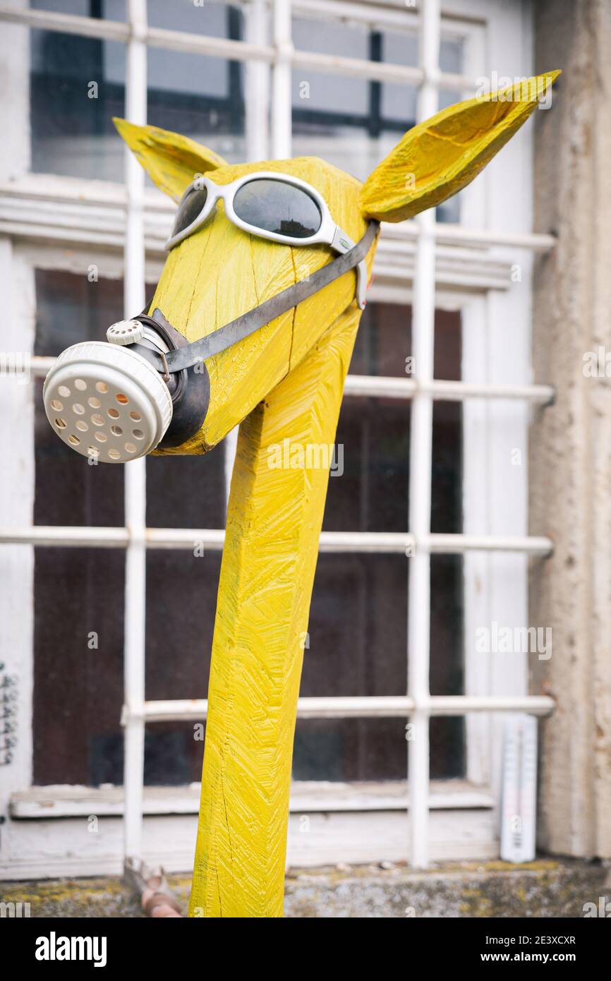 Animal wearing gas mask hi-res stock photography and images - Alamy