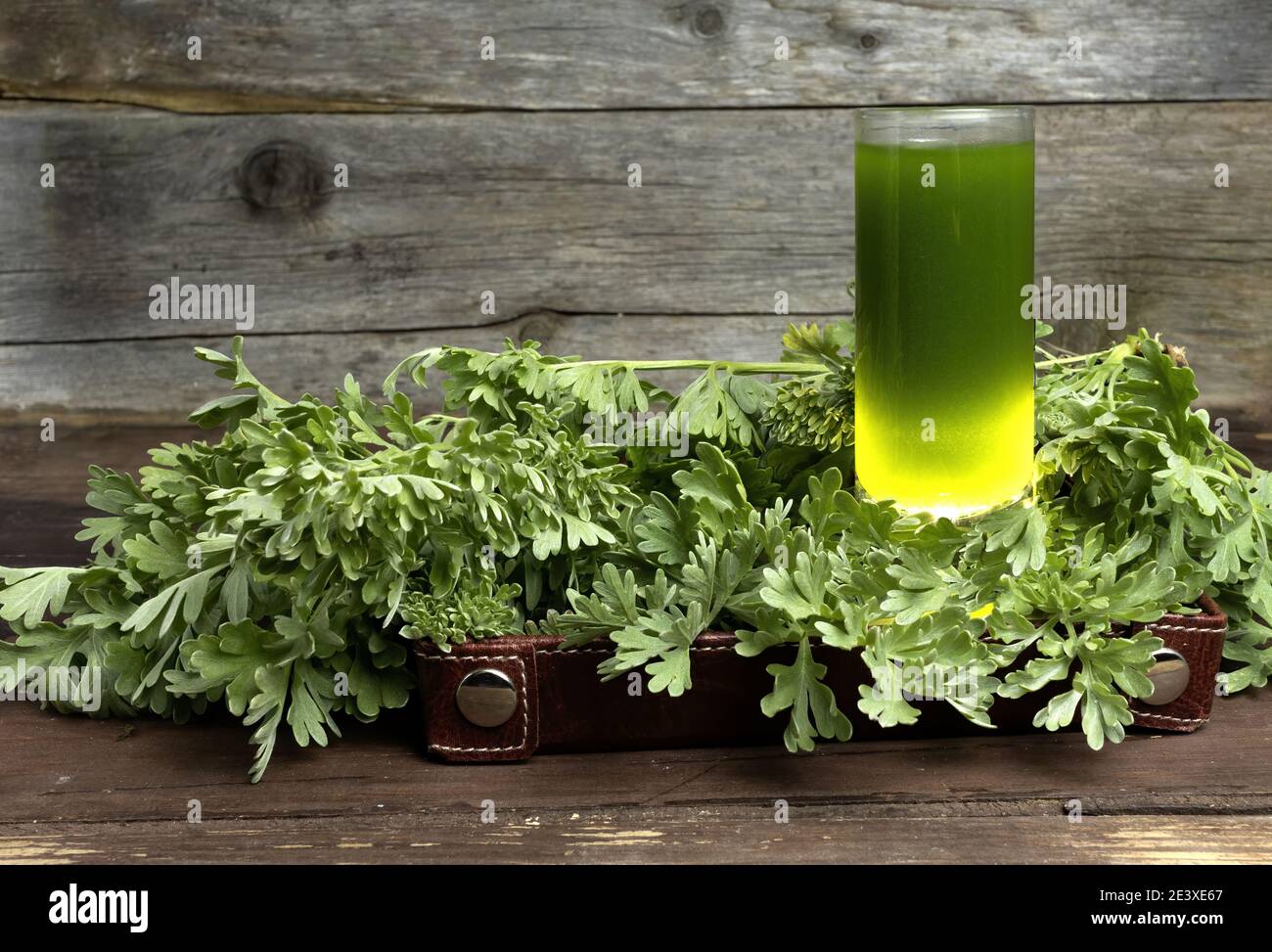 Absinth artemisia absinthium hires stock photography and images Alamy