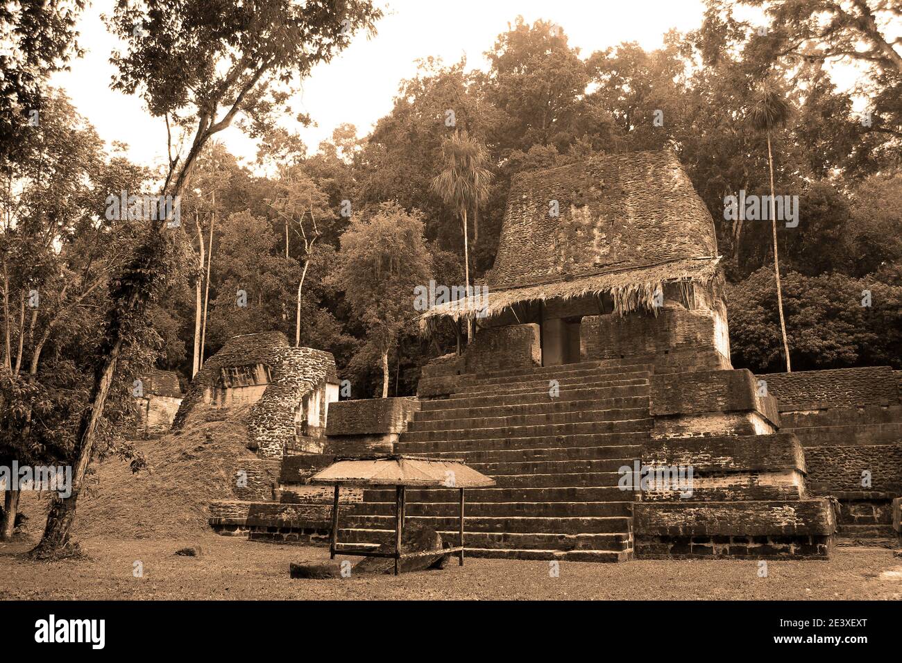 Mayan Temple In Tikal National Park Stock Photo