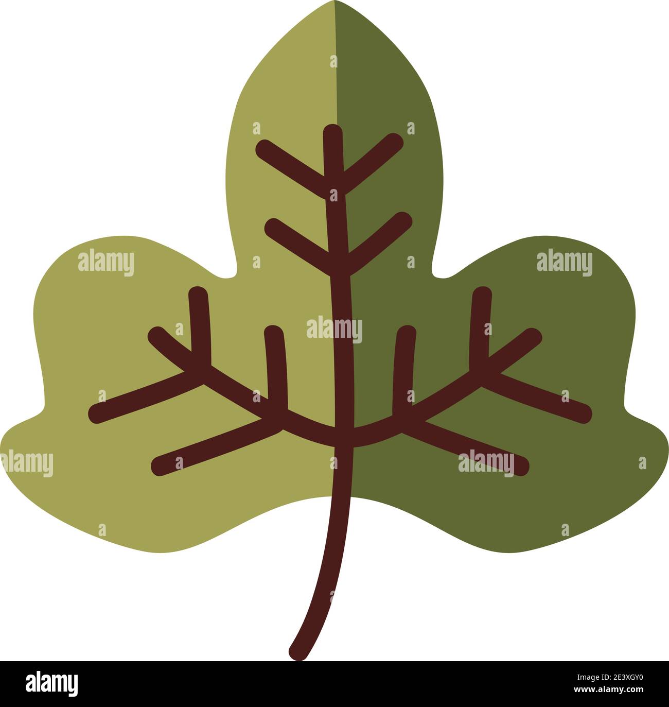 Heme flora hi-res stock photography and images - Alamy