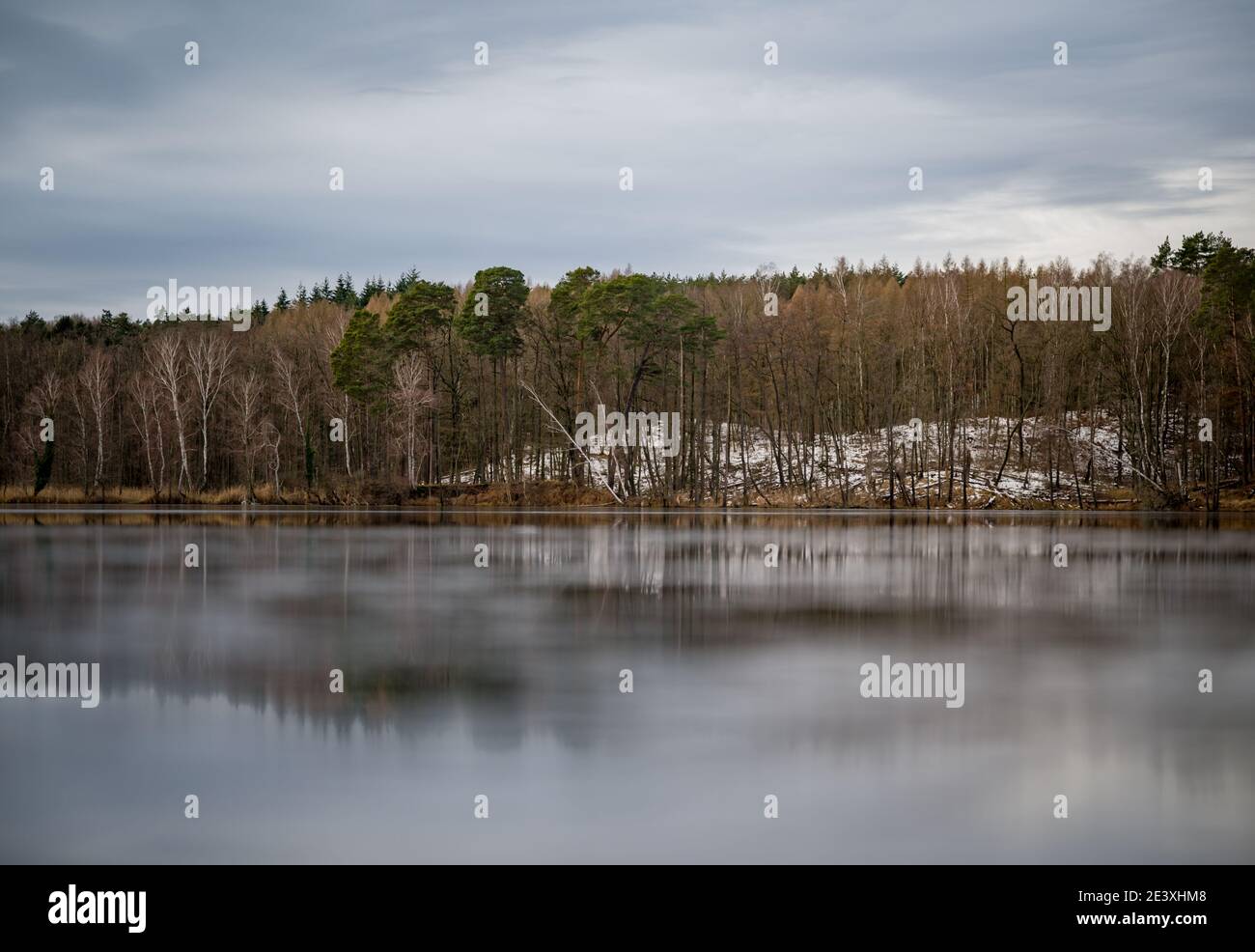 Treplin, Germany. 20th Jan, 2021. Lake Treplin in the district of Märkisch-Oderland. A thin layer of ice is on the water. Credit: Patrick Pleul/dpa-Zentralbild/ZB/dpa/Alamy Live News Stock Photo