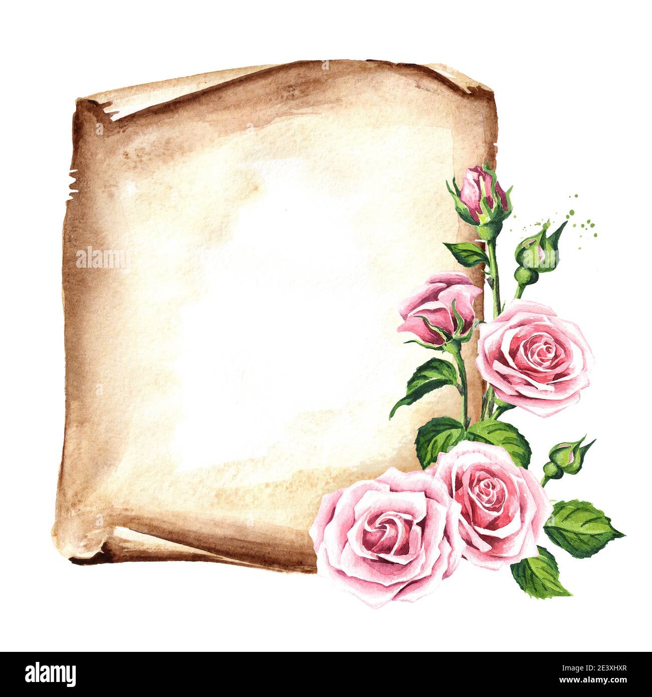 Scroll of old paper with rose flowers. Mother's and Women's Day