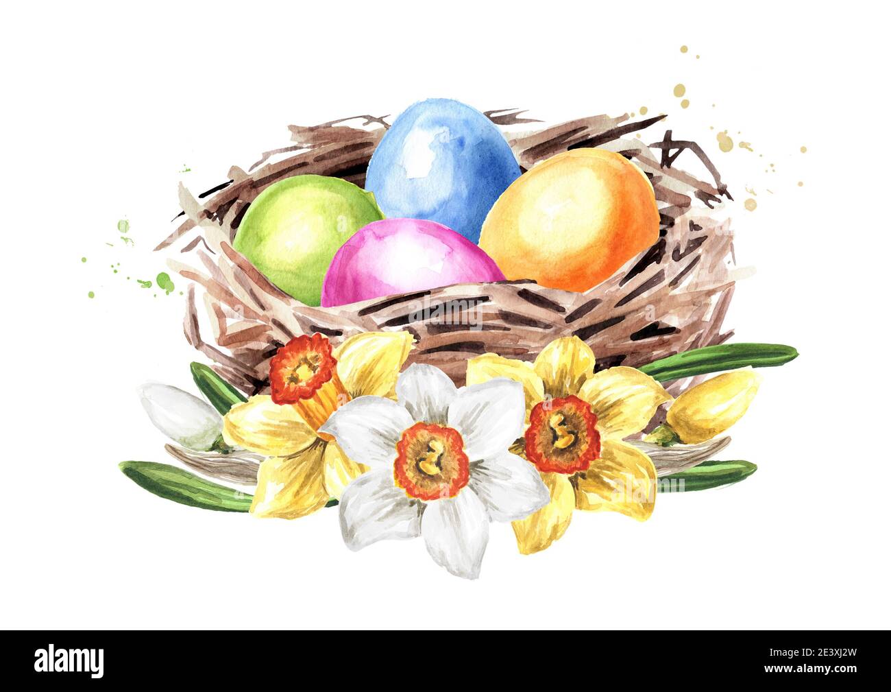 Easter nest with colored eggs and spring flowers. Hand drawn watercolor ...