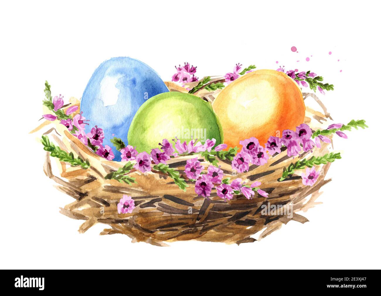 Easter nest with eggs and flowers. Hand drawn watercolor illustration ...