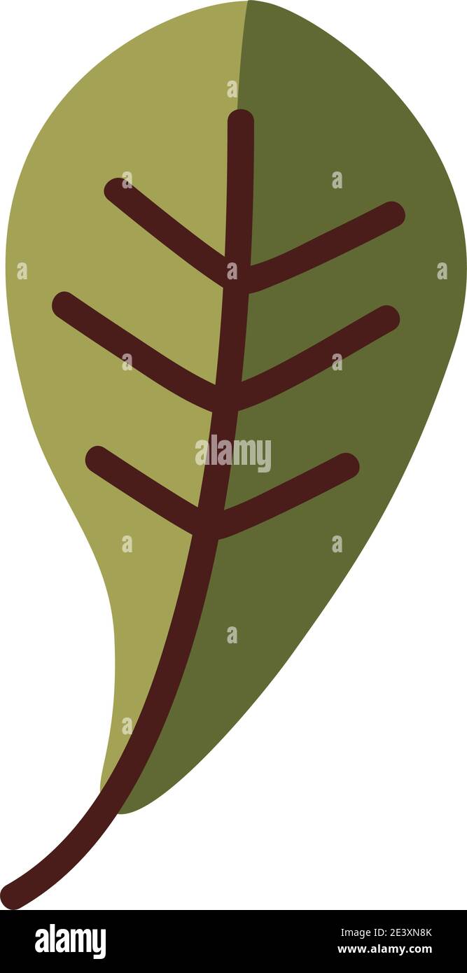 leaf line and fill style icon design of Plant natural floral theme ...