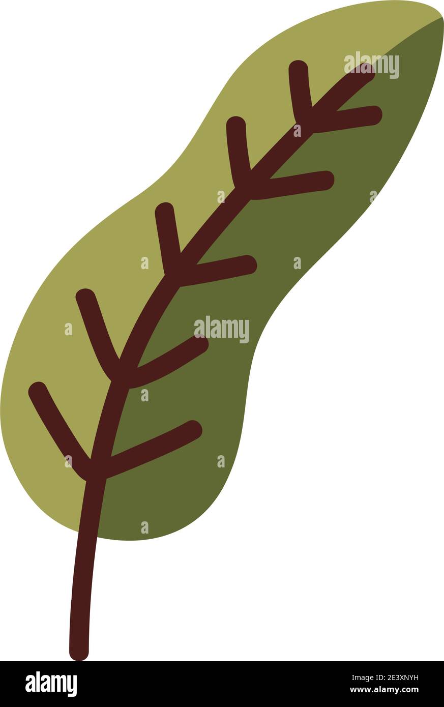 Natural leaf line and fill style symbol design of Plant floral theme ...