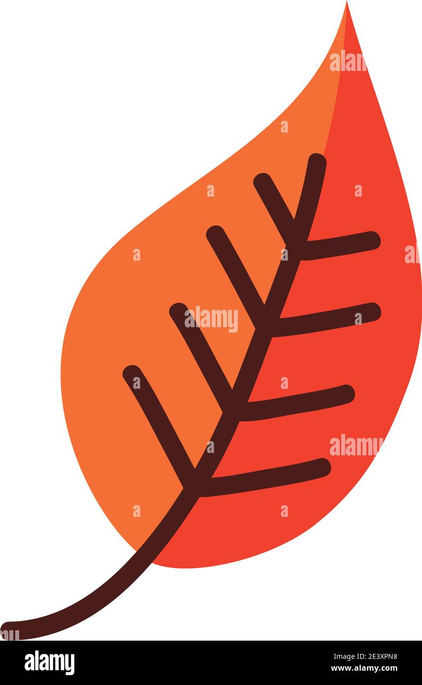 leaf line and fill style icon design of Plant natural floral theme ...